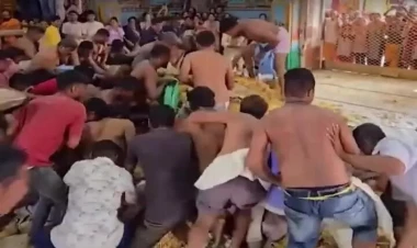 Yemək üçün bir-birilərini əzdilər - VİDEO