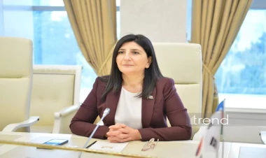 Avropa Parlamentinin qətnaməsi Azərbaycanın daxili işlərinə kobud müdaxilədir - Sevil Mikayılova