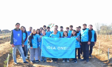 IDEA Bərdə və Beyləqanda kütləvi ağacəkmə aksiyaları təşkil edib -  FOTO