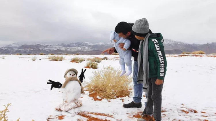 Ərəbistan səhrasında 30 il sonra ilk dəfə - VİDEO