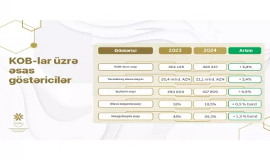 Azərbaycanın KOB sektoru üzrə artım dinamikası davam edir