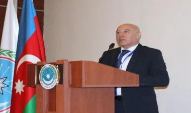 Deputatın oğlu hakim təyin edildi