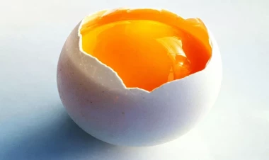 İnsanların çoxu yumurtanın bu hissəsini atır: nələri itirdiyinizi öyrənin