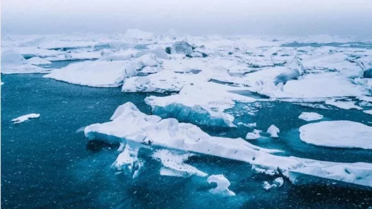 İtən robot 9 ay sonra qorxulu məlumatlarla geri döndü