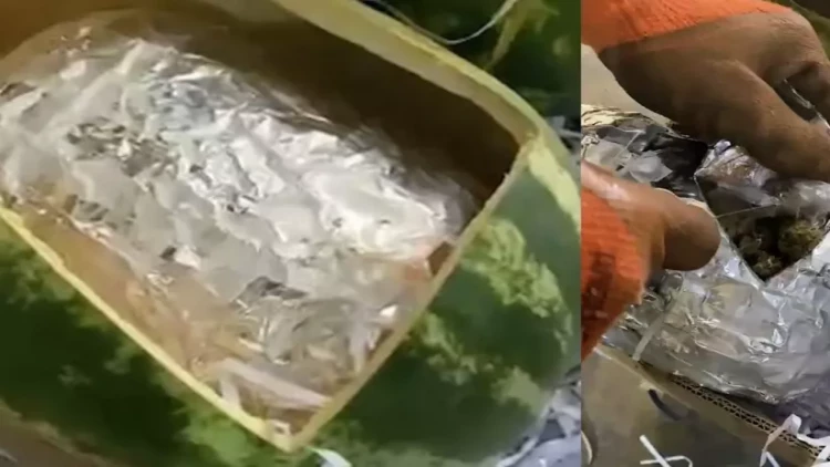 Qarpızın içindən narkotik çıxdı - FOTO