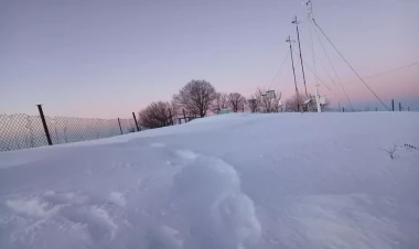 Şahbuzda qarın hündürlüyü 48 sm-ə çatdı