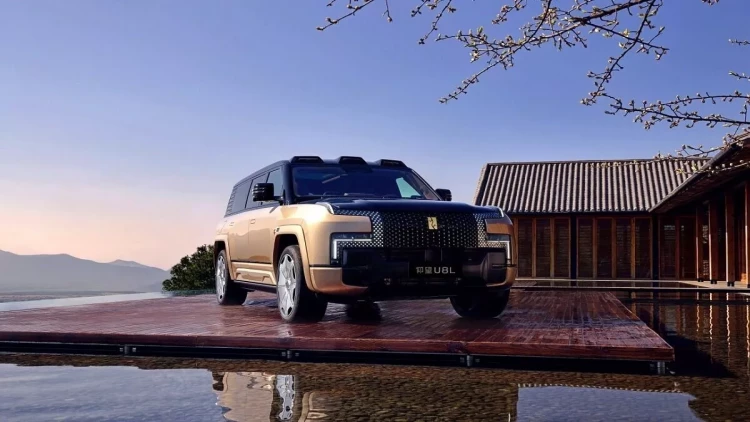 BYD-nin üzərinə 3 tonluq palma ağacını AŞIRDILAR - nəticə təəccübləndirdi - VİDEO