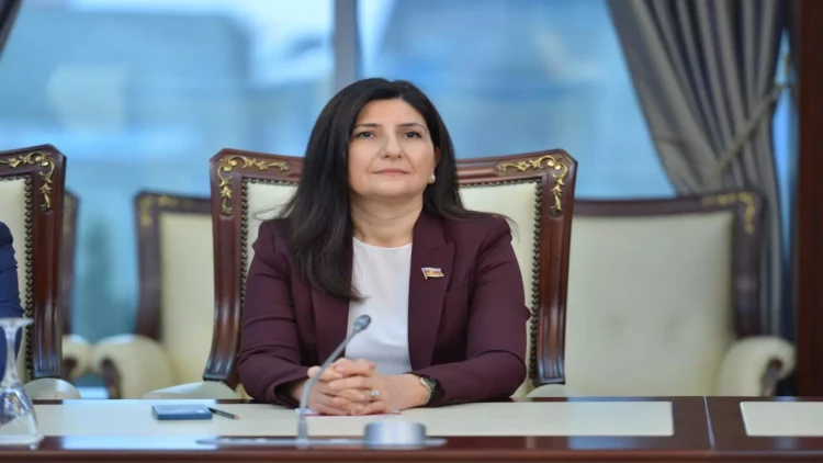 Prezident İlham Əliyevin müsahibəsi strateji mesajdır və növbəti illərin yeni geosiyasi mərhələsinin təsvirini yaradır - Sevil Mikayılova