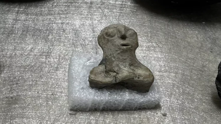 7 Min 500 İldən sonra torpağın altından çıxarıldı: Daha əvvəl oxşarına rast gəlinməyib - FOTO