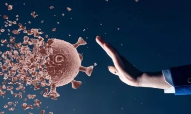 İmmuniteti gücləndirən 3 əsas amil – mütəxəssis açıqladı