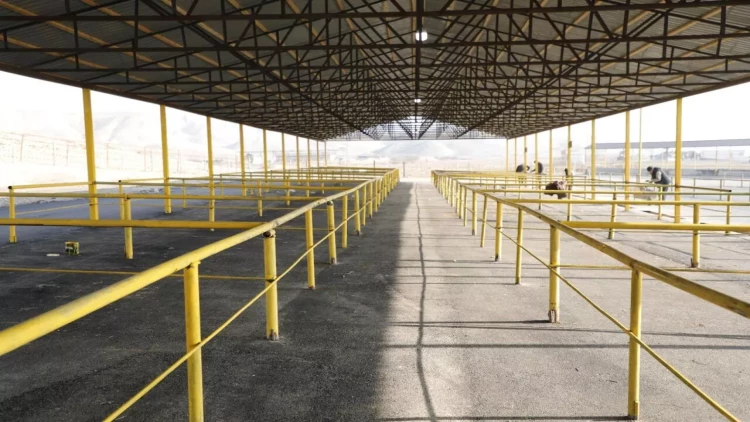 Göyçay heyvan satışı bazarının yaxın günlərdə açılışı olacaq