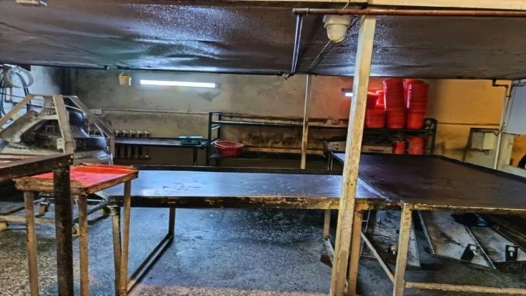 Çörək emalı müəssisəsində nöqsanlar aşkarlandı