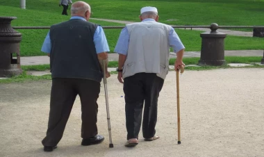 100 yaşına kimlər daha tez çatır: ət yeyənlər, yoxsa vegeterianlar?