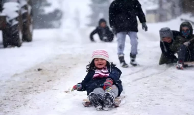 Qonşu ölkəni şaxta vurdu - Məktəblər bağlandı