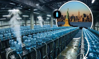 Rəqəmsal dünya planetin suyunu içir - Süni intellekt su böhranı yarada bilər