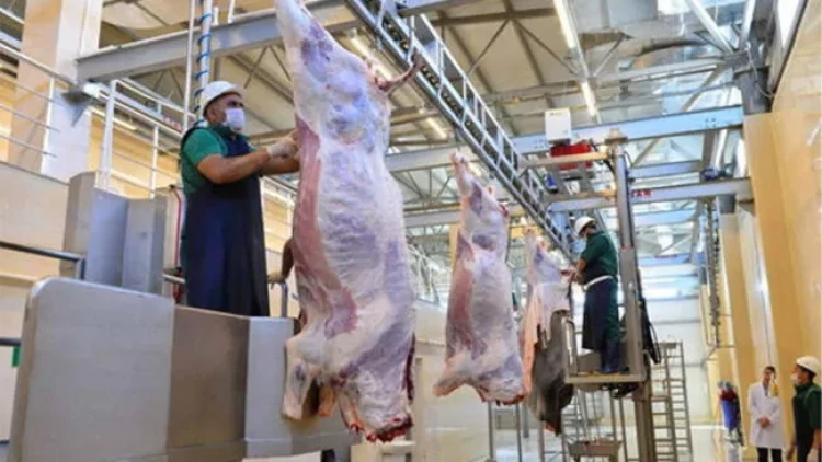 Ət alarkən ehtiyatlı olun - Həyatınıza təhlükə ola bilər - AÇIQLAMA