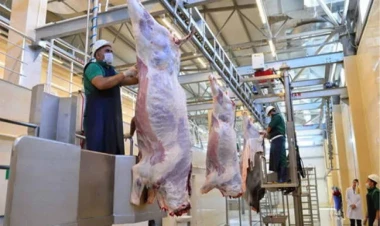 Ət alarkən ehtiyatlı olun - Həyatınıza təhlükə ola bilər - AÇIQLAMA