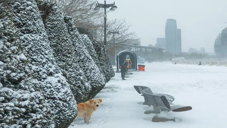 Azərbaycana soyuq hava dalğası gəlir