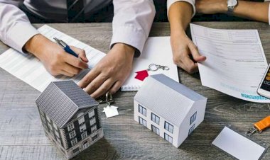 Kredit müraciətlərinin sayı artdı