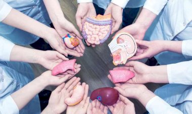 Qohum olmayan şəxslər orqan verə bilər? - AÇIQLAMA