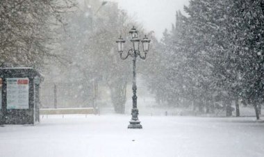 Qar mikrob və virusları öldürür?