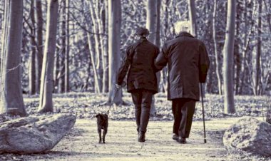 Yaşlılar üçün bu sadə test tövsiyə olunur