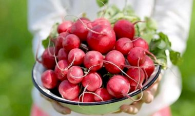 Turpun sağlamlıq üçün 10 faydası