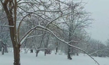 Bu ərazilərə qar yağır