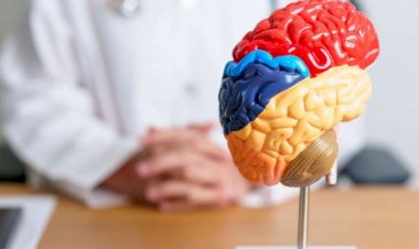 Epilepsiya beyni məhv edir