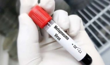 Bu şəxslər risk qrupundadır - Yeni virusun təhlükələri