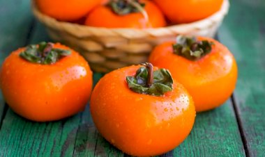 Xurmanın əsas təhlükəsi