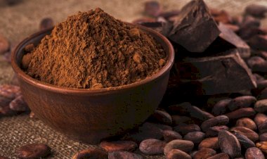 Azərbaycan kakao məhsullarının ixracından gəlirlərini 37 % artırıb