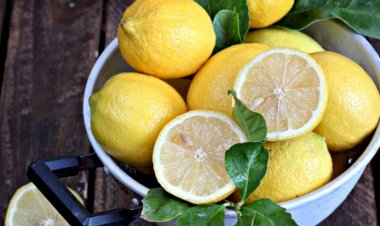 Hər gün limon yesək, nə baş verər?