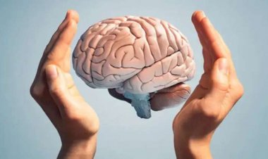 Sağlam beyin üçün 5 qızıl qayda