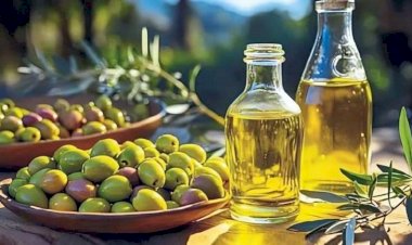 Ən keyfiyyətli zeytun yağı hansıdır?