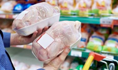 Hinduşka, yoxsa toyuq əti - Hansı faydalıdır?