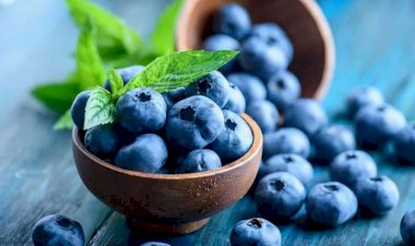 Payızın əsl neməti - Qaragilənin faydaları