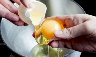 1 ayda 720 yumurta yeyən alim açıqladı - İllərdir yanlış bilirmişik