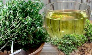 Kəklikotu çayı bu xəstəliklərin dərmanıdır
