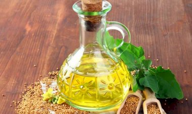 Bu yağ zeytun yağından da faydalı imiş