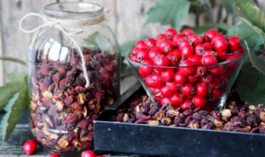 Gündə bir ovuc yemək xərçəngdən qoruyur