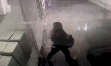 Masallıda mağazalardan oğurluq olub, saxlanılan var