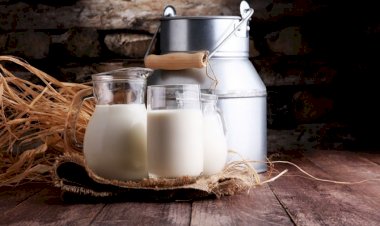 Azərbaycan süd və qaymaq idxalını 65 % artırıb