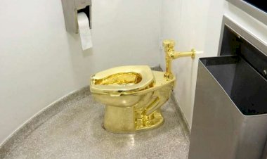 Qızıldan olan tarixi unitaz oğurlandı