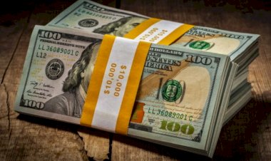 Azərbaycandan Polşaya pul köçürmələri 19 %-ə yaxın artıb