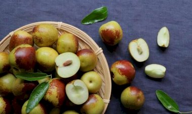 İnnabın bilmədiyimiz faydaları - Bu xəstəliklərin dərmanıdır