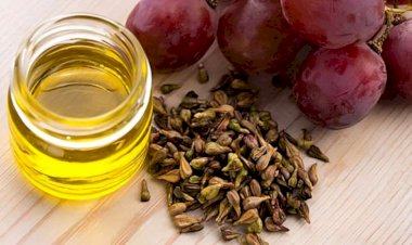 Çəyirdəkləri qocalmanı gecikdirir