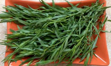 Bu xəstəliyi olanlar tərxun yeməlidir