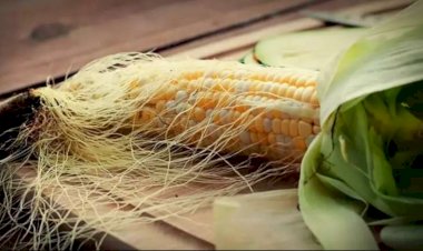 Qarğıdalı saçaqlarını dəmləyib için - Bu dərdə çarədir