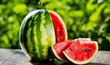 Qarpız əgər belədirsə, qəti yemək olmaz